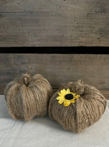 Brown Rope Decorative Pumpkins