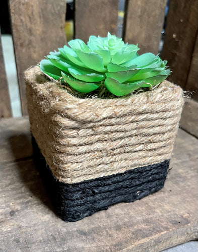 Fake Succulent in Rope Pot