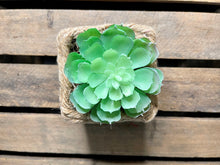 Load image into Gallery viewer, Fake Succulent in Rope Pot
