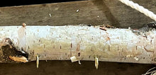 Load image into Gallery viewer, Natural birch log jewelry holder
