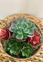 Load image into Gallery viewer, Vintage Silver Reed and Barton 1120 Bowl with Succulent Garden
