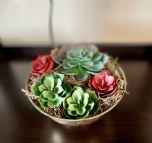 Load image into Gallery viewer, Vintage Silver Reed and Barton 1120 Bowl with Succulent Garden
